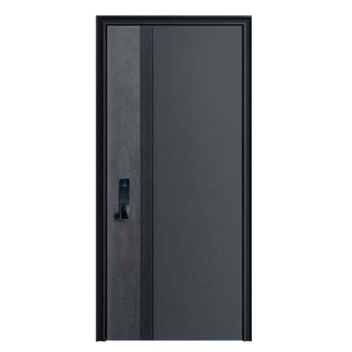 VR-01-Luxury-Steel-Door.